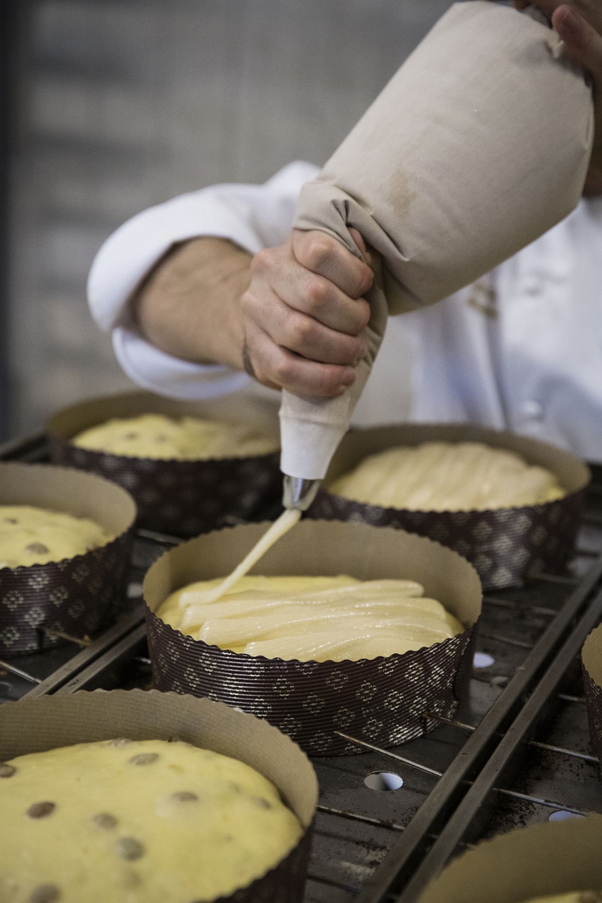 A baker uses a pastry bag to squeeze cream onto panettoni dough.