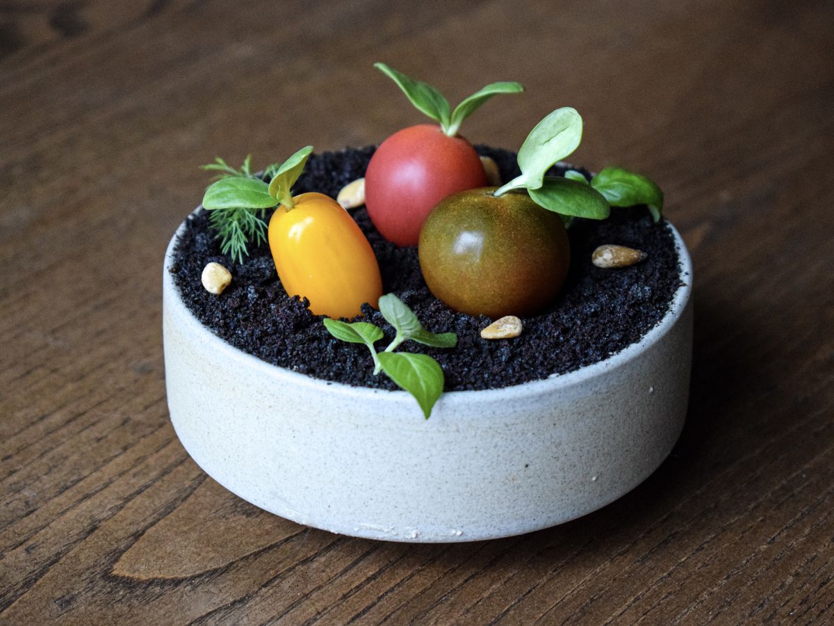 A dish of heirloom tomatoes made to look like they are growing out of potted soil.