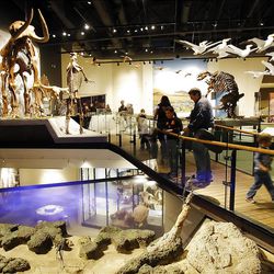Hundreds get a look at the new Utah Natural History Museum Thursday, Nov. 10, 2011.