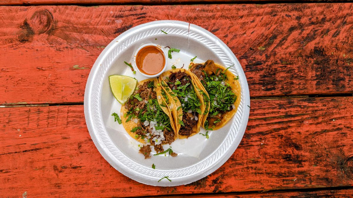 Three tacos on a white styrofoam plate on a reddish wooden table.