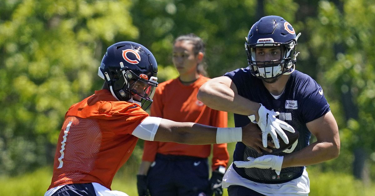 Breaking down the Bears as minicamp ends