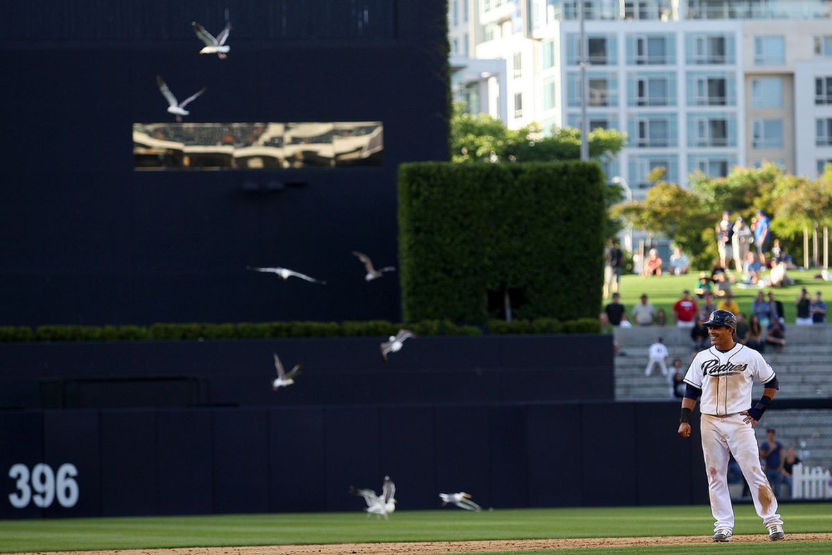 June 20, 2012; San Diego, CA, USA; San Diego Padres shortstop Everth Cabrera (2) laughs as seagulls flock in the outfield during the ninth inning against the Texas Rangers at PETCO Park. Mandatory Credit: Jake Roth-US PRESSWIRE