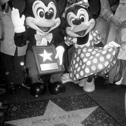 Mickey Mouse, the cartoon character created by Walt Disney, became the 1700th star and first animated personality to have his star placed on Hollywood Boulevard’s Walk of Fame, Los Angeles on Monday, Nov. 13, 1978. 