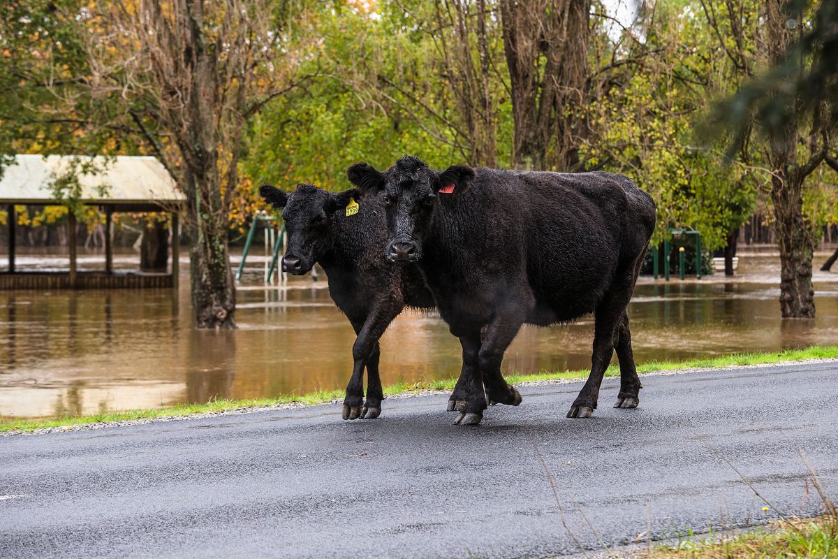 Northern Tasmania Faces Severe Flooding As Storm Weather Hits
