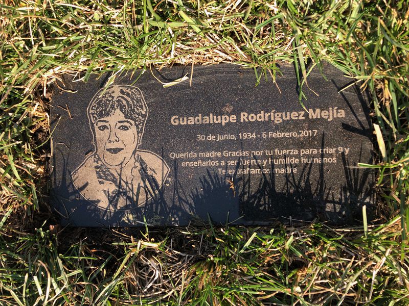 In April, Silvia Rodriguez Mejia told the Cook County assessor’s office that her mother Guadalupe Rodriguez was alive and offered to bring her in to prove that and that she should continue to receive the senior citizen tax breaks, records show. Rodriguez’s gravestone at Resurrection Catholic Cemetery and Mausoleums in Justice says she died in February 2017.