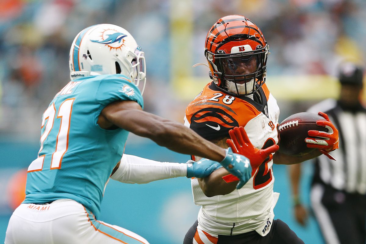 dolphins bengals preview