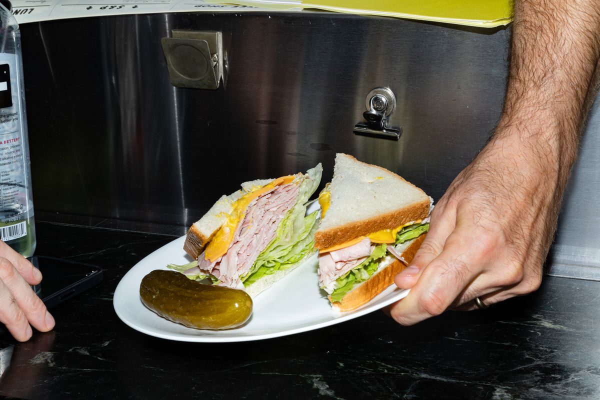A hairy hand passes a plate with a ham and cheese sandwich on white bread.