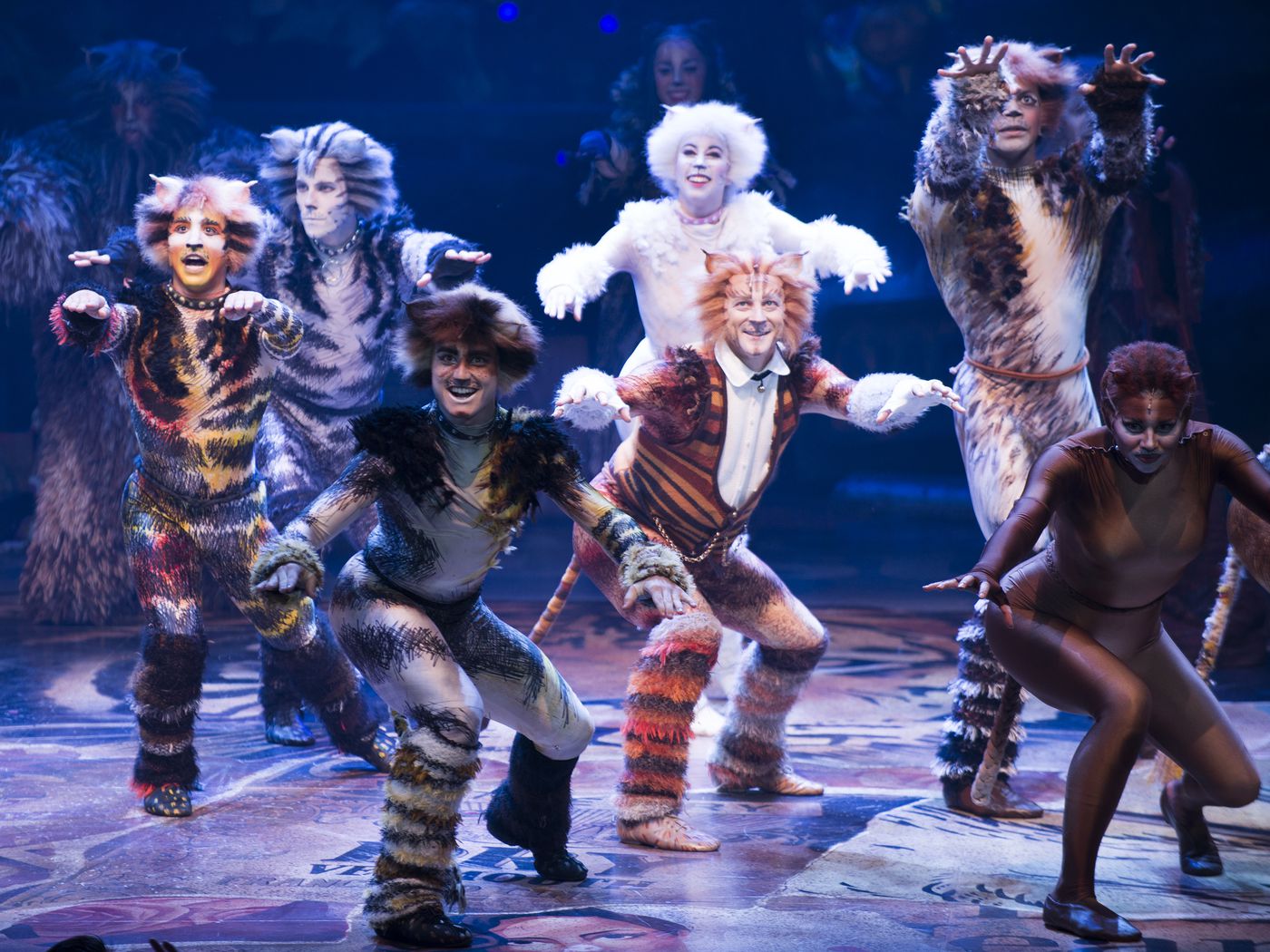Cats The Musical Is Getting A Movie Here S Why It S So Beloved Racked