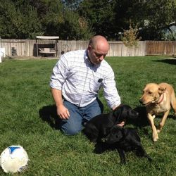 Bruce Gardner plays with his dog, Maya. The yellow Labrador retriever was playing with a wireless home phone Wednesday and somehow hit redail to call Gardner's mobile phone. Gardner contacted police thinking there was a burglar at his home, only to figure out later it was Maya. 