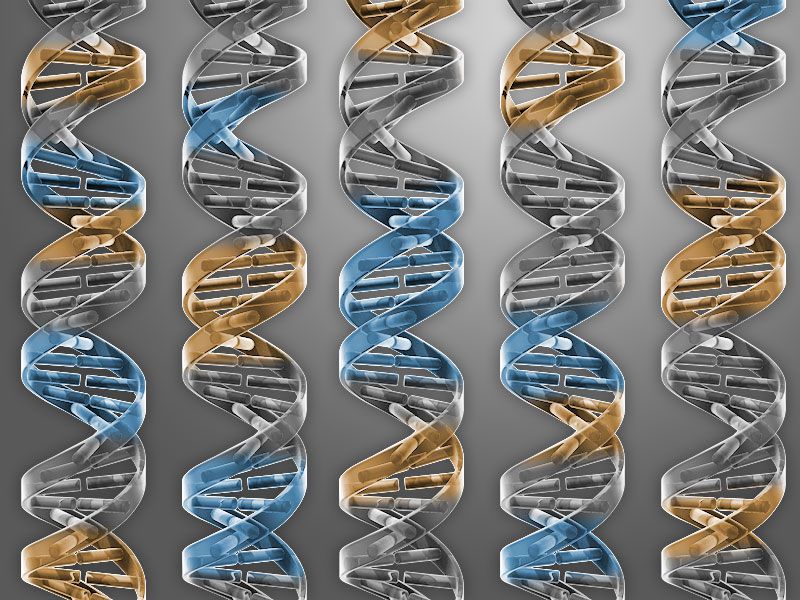 cbikle-science-2016-minimal-genome