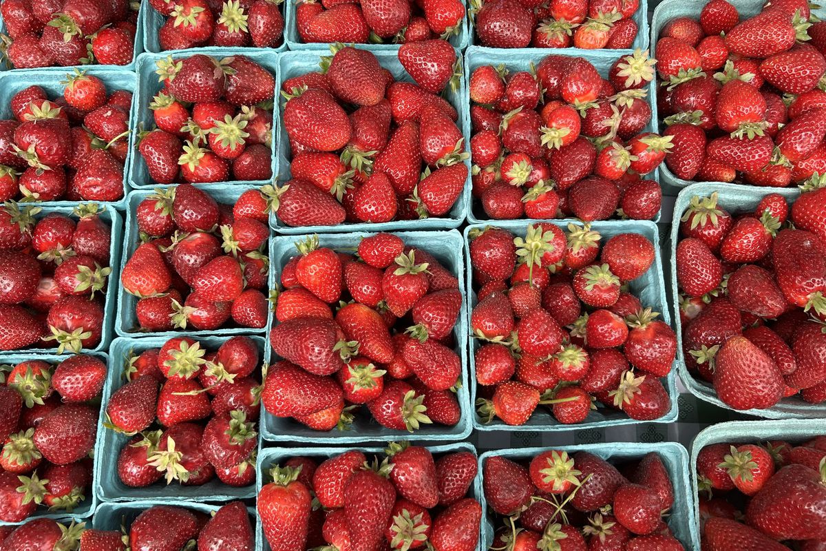 An overhead shot of tightly packed rows of pints of strawberries.