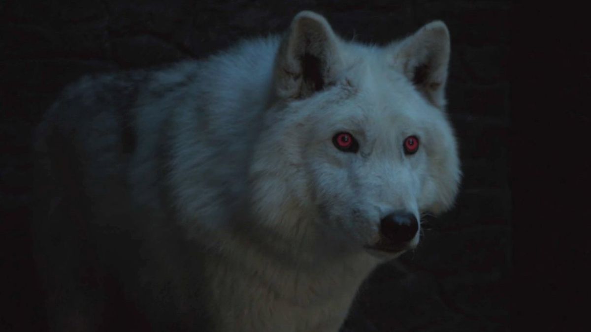 ghost on game of thrones