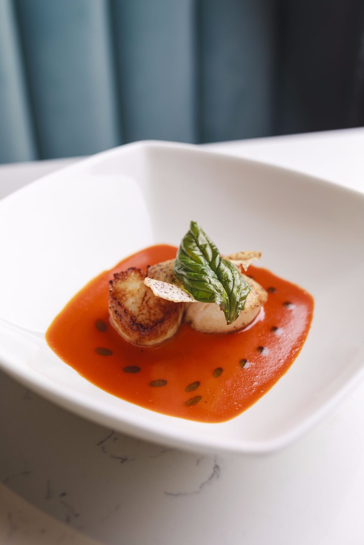 Scallops plated in a red sauce with dark dots of another sauce mixed in. A green herb garnishes the top of the scallops.