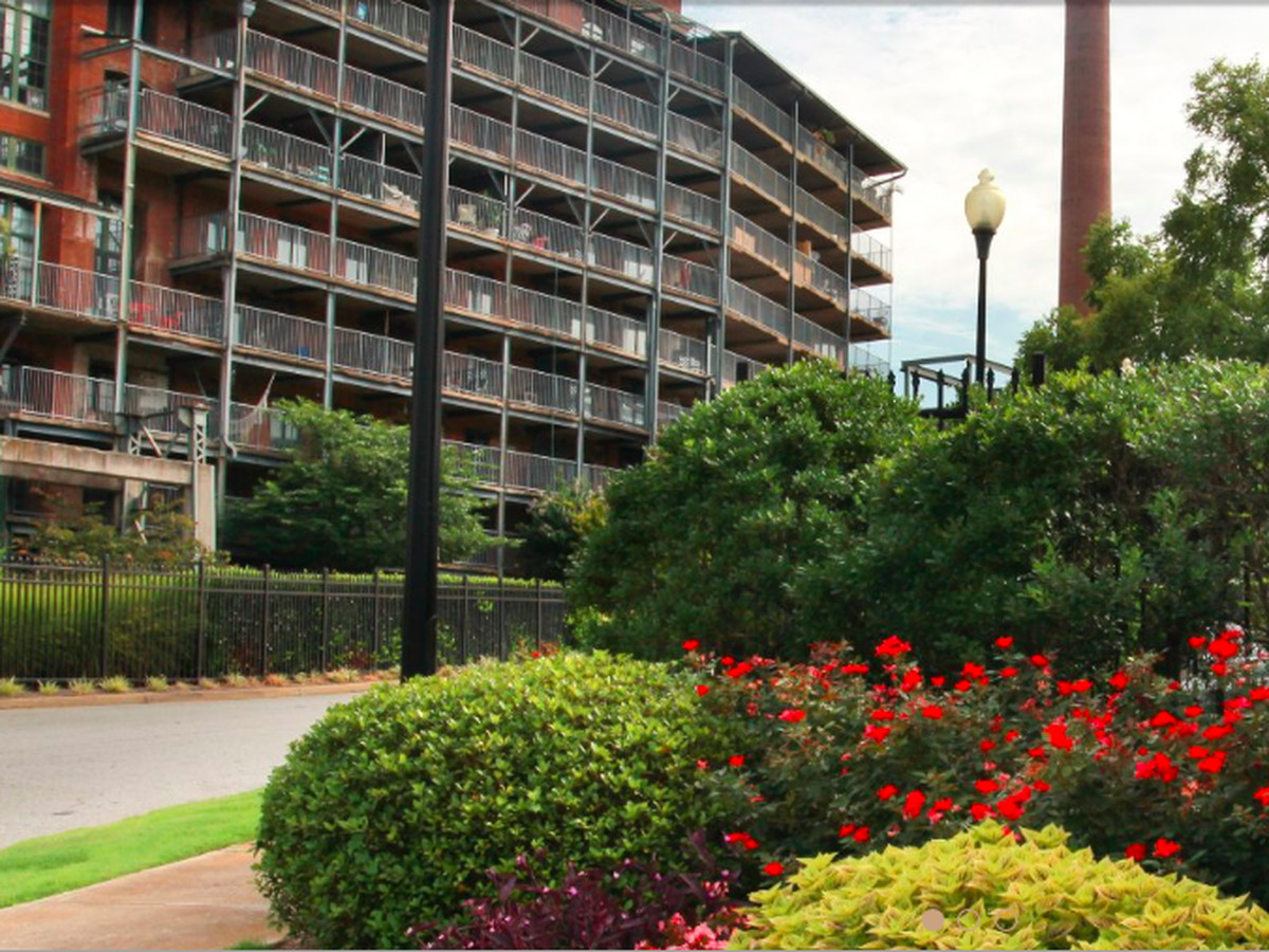 In the foreground are shrubs and grass. In the background is an apartment building with balconies. 