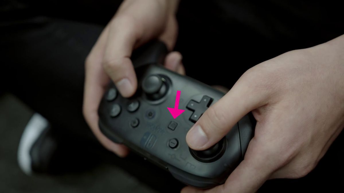Nintendo Switch Pro Controller record button