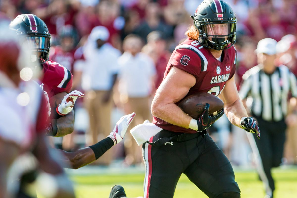 COLUMBIA, SC - South Carolina Gamecocks tight end Hayden Hurst (81) carries the ball against the Arkansas Razorbacks defense during a game at Williams-Brice Stadium.