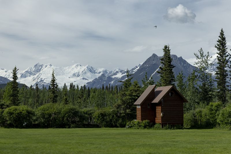 Snowy peaks in the background and a vibrant green forest with grass and a tiny cabin.