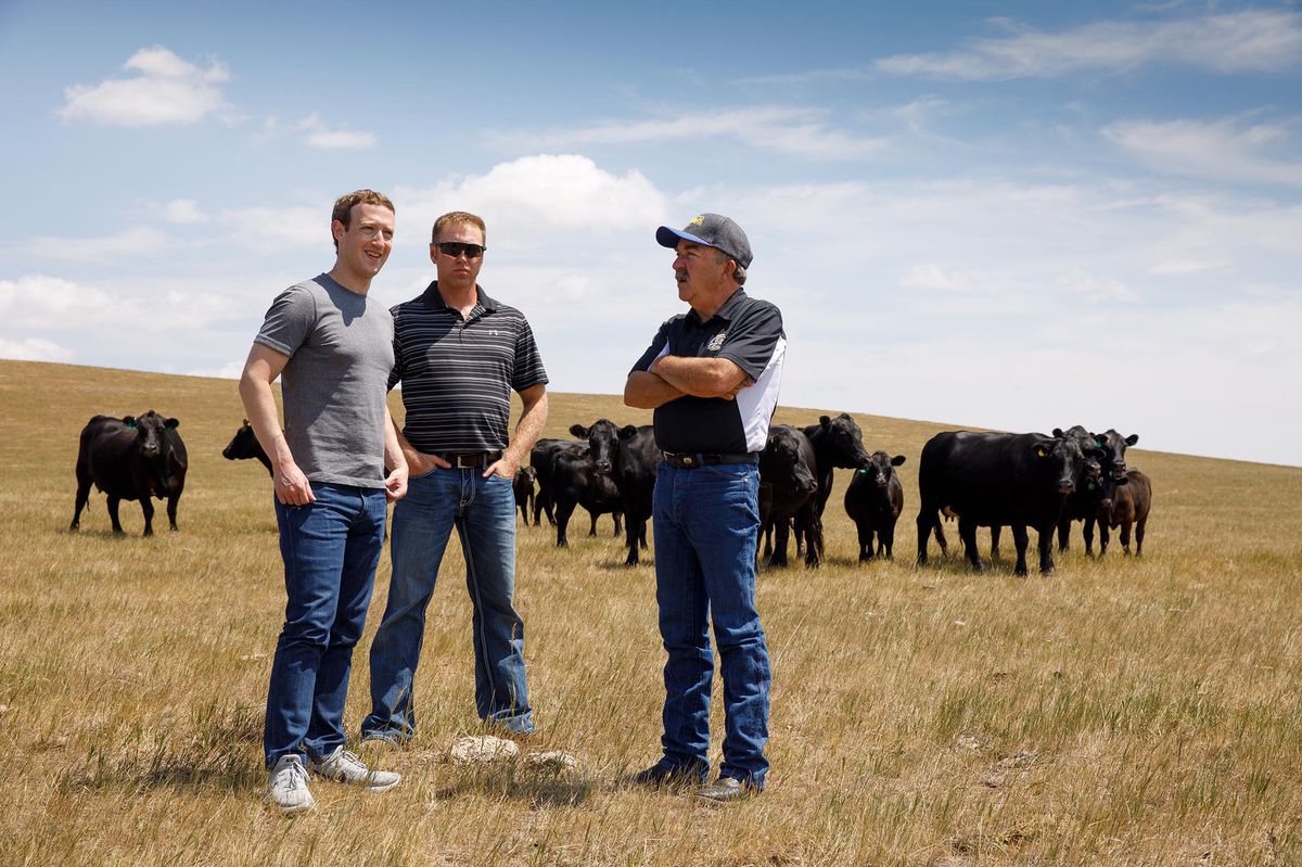 Facebook CEO Mark Zuckerberg stands in a field with ranchers and cows.