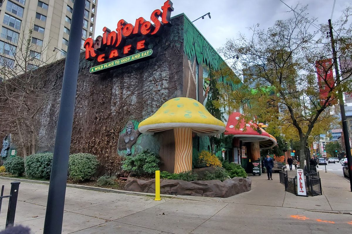 A corner building decorated with giant mushrooms and a sign that reads “Rainforest Cafe.”