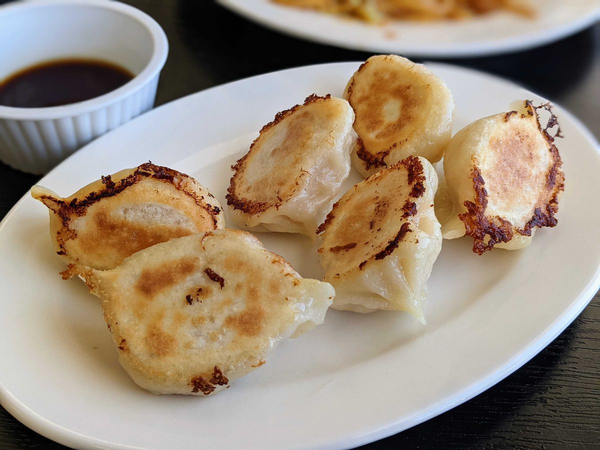 An oval plate of dumplings lightly crisped from pan frying.