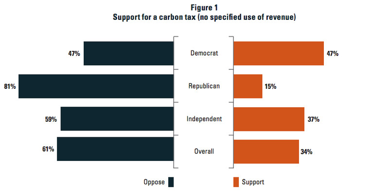 carbon tax support