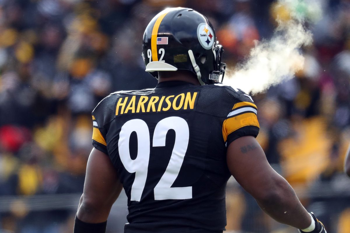 James Harrison officially unleashed vs. the Chiefs in Week 6 ...