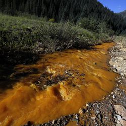 Water flows down Cement Creek on Thursday, Aug. 13, 2015, just below the site of the blowout at the Gold King mine that triggered a major spill of toxic wastewater outside Silverton, Colo.