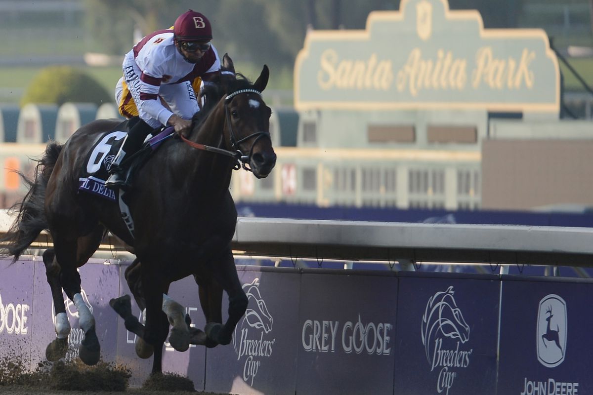 Royal Delta winning the last Breeders' Cup Ladies' Classic.
