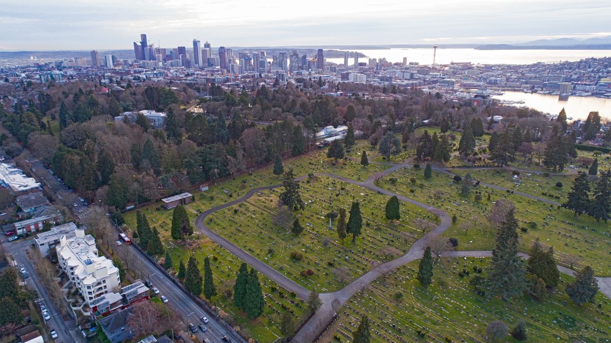 An aerial photograph of a large lawn with concrete paths, full of graves and dotted with evergreen trees. A busy road runs to the left, and skyscrapers and a lake are visible in the distance.