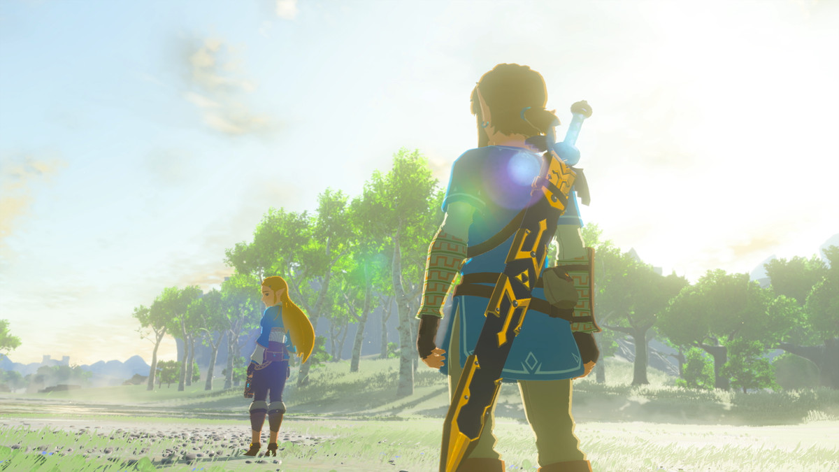 Link looking at Zelda in an image from Breath of the Wild