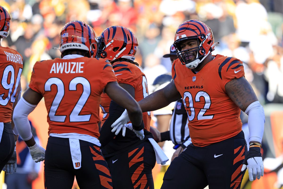 B.J. Hill #92 of the Cincinnati Bengals celebrates after sacking Ben Roethlisberger #7 of the Pittsburgh Steelers (not pictured) during the second quarter at Paul Brown Stadium on November 28, 2021 in Cincinnati, Ohio.