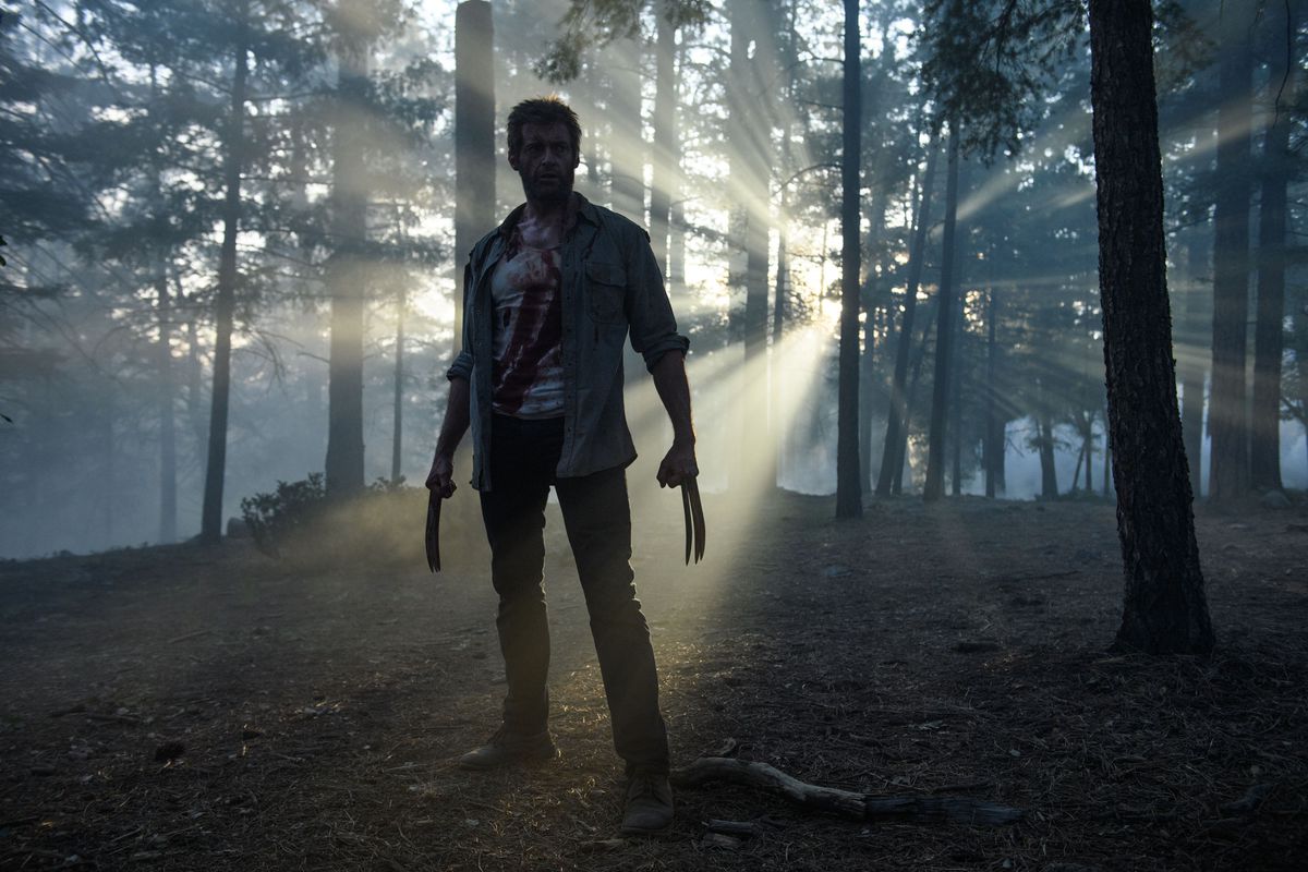 Logan - Wolverine in the forest