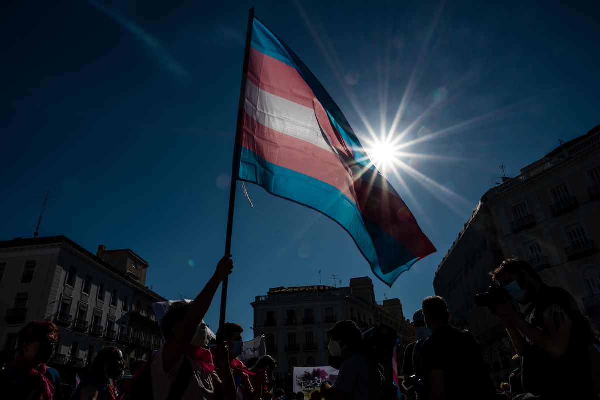 Demonstrator waving the Trans flag attends a protest where...
