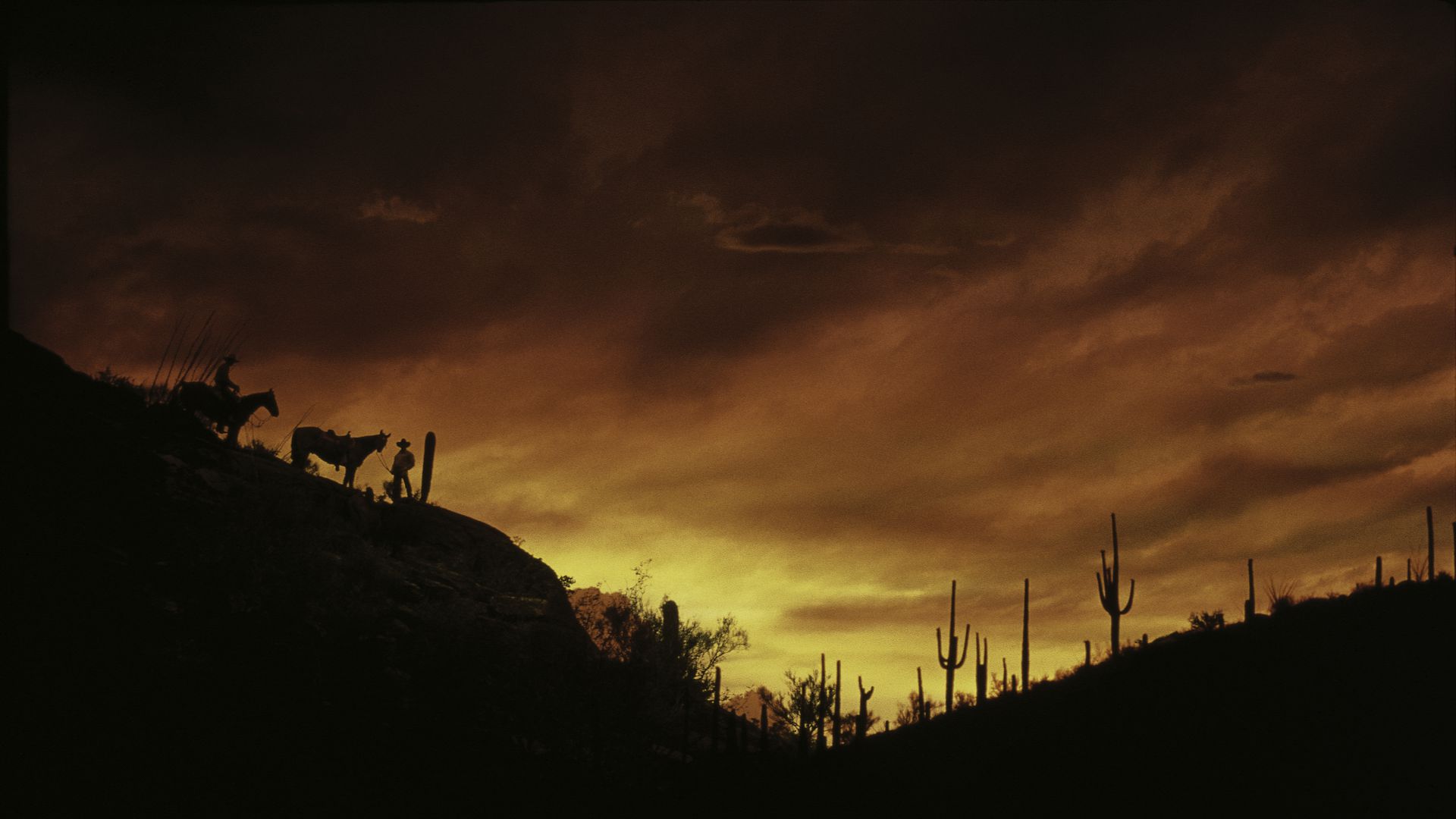 These are horseback riders at sunset in the Sonoran Desert. They are in silhouette surrounded by the Tucson Mountains.