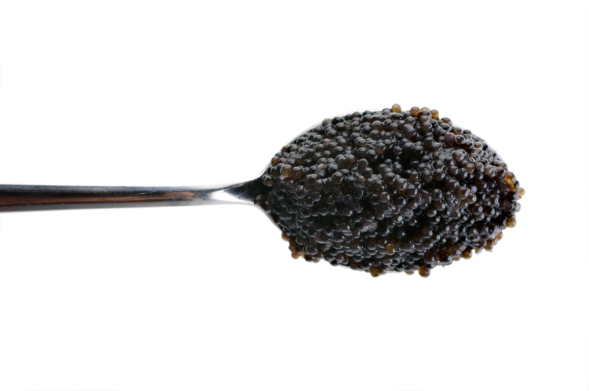 black caviar, caviar, copy space, cut out, cutout, food, nobody, overhead view, raw, roe, spoon, spoon full, spoonful, studio shot, uncooked, white background.