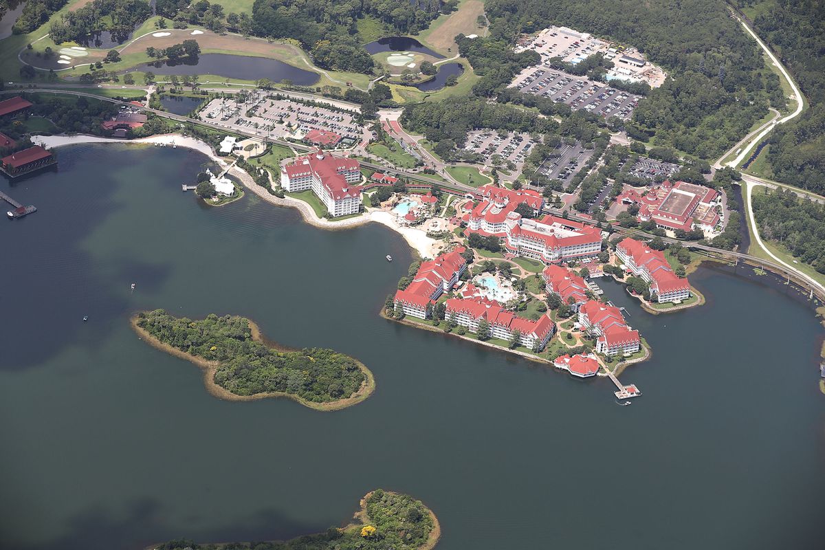 Alligator Snatches 2-Year-Old Boy From Lake At Disney Resort