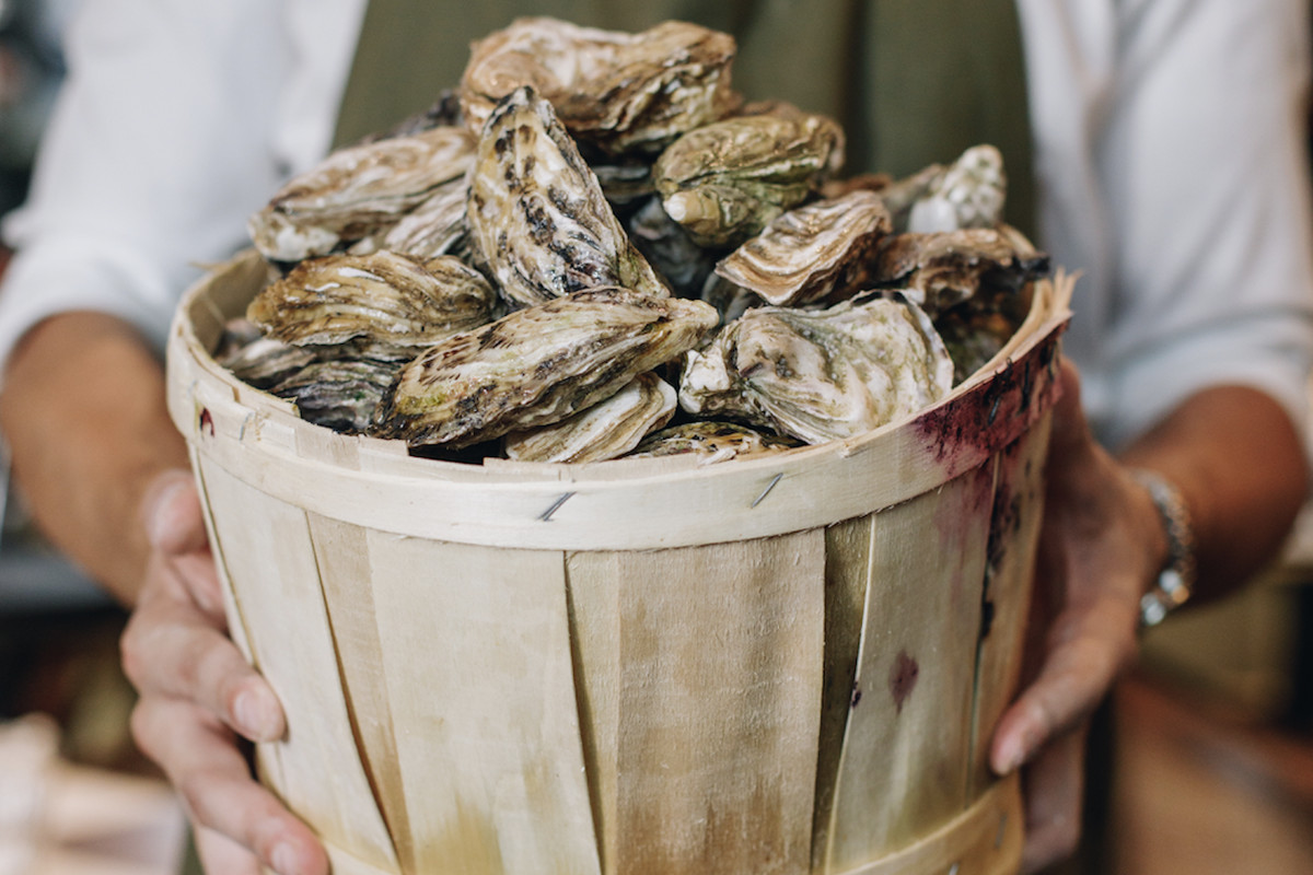 A man in a white shirt and green apron holds out a bucket of oysters in his hands