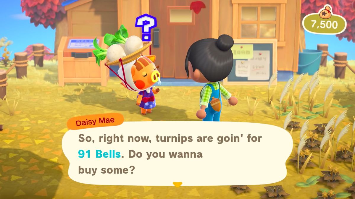 Turnip-selling boar Daisy Mae asks a villager if she wants to buy some veggies in a screenshot from Animal Crossing: New Horizons.