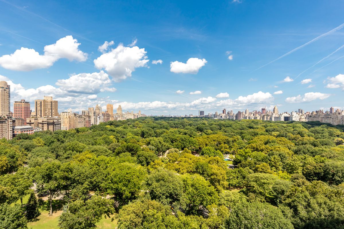 The treetops Central Park looking north on a bright blue sky day. Buildings rise in jagged spurts along the park’s west and east boundaries.