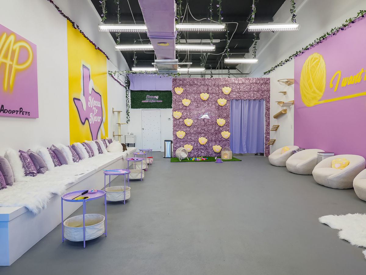 A large room with a line of bench seating and pillows and fluffy blankets on the left, and a wall of purple flowers with pale yellow animal paw pillows in the middle, and a purple wall with cat shelves and round white low seats to the right.