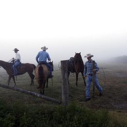 Marshall Godsey, left, Eric Batey and Justin Feagle begin their day as they ride out to rotate cattle at Deseret Ranches of Florida, Wednesday, May 11, 2011.