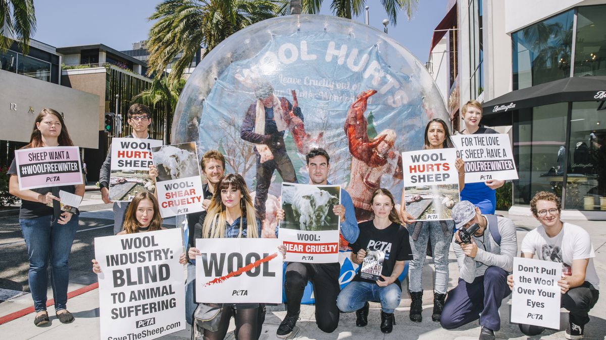 PETA staffers stand outside with signs at a wool protest in Los Angeles. Two people beating up fake bloody sheep are inside a giant inflatable snow globe behind them.