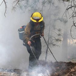 An AmeriCorps volunteer firefighter assigned to the El Paso County Sheriff's Office, Woodland Fire Crew, helps contain a spot fire in an evacuated area of forest, ranches and residences, in the Black Forest wildfire area, north of Colorado Springs, Colo., on Thursday, June 13, 2013. According to officials, 360 homes have been burned, and 38,000 people have been evacuated since the fire began earlier in the week. (AP Photo/Brennan Linsley)