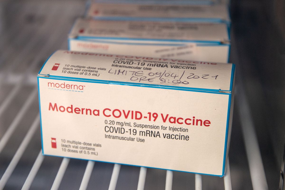 Moderna vaccines in boxes on a refrigerator shelf.