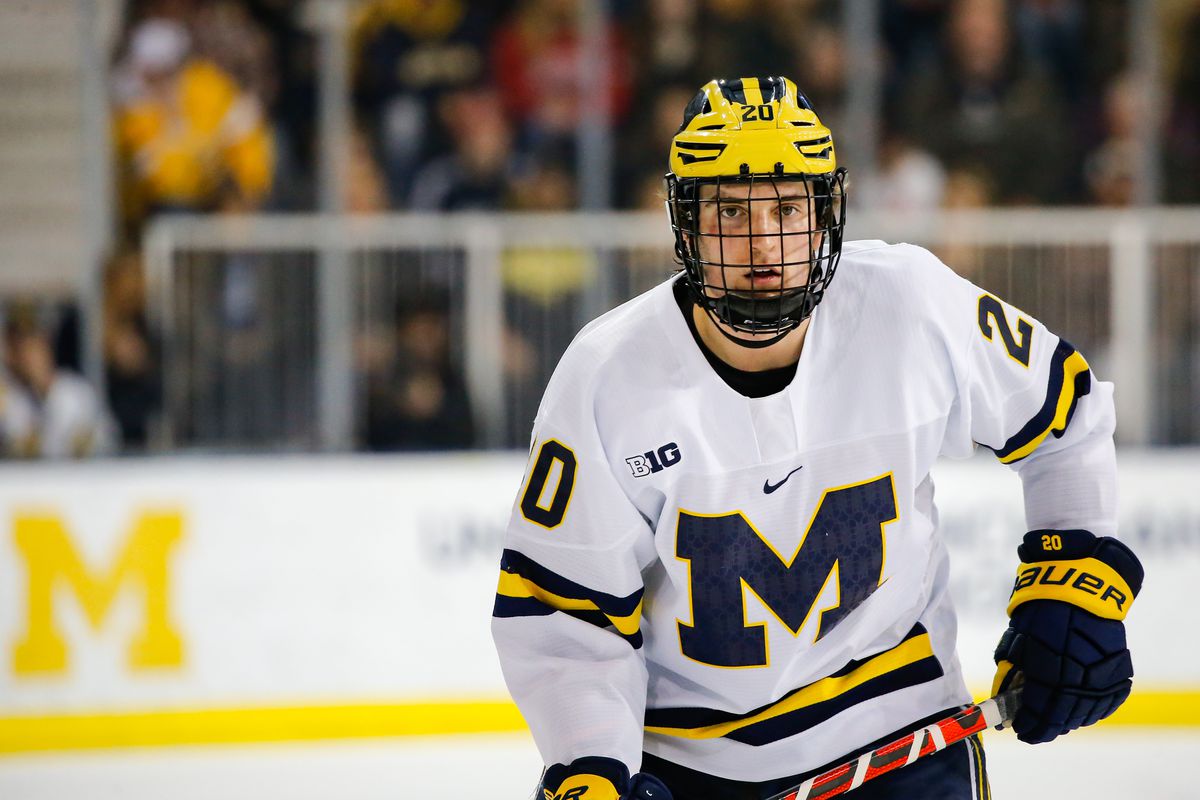 Michigan Wolverines defenseman Keaton Pehrson (20) looks on during a regular season Big 10 Conference hockey game between the Ohio State Buckeyes and Michigan Wolverines on February 1, 2020 at Yost Ice Arena in Ann Arbor, Michigan.