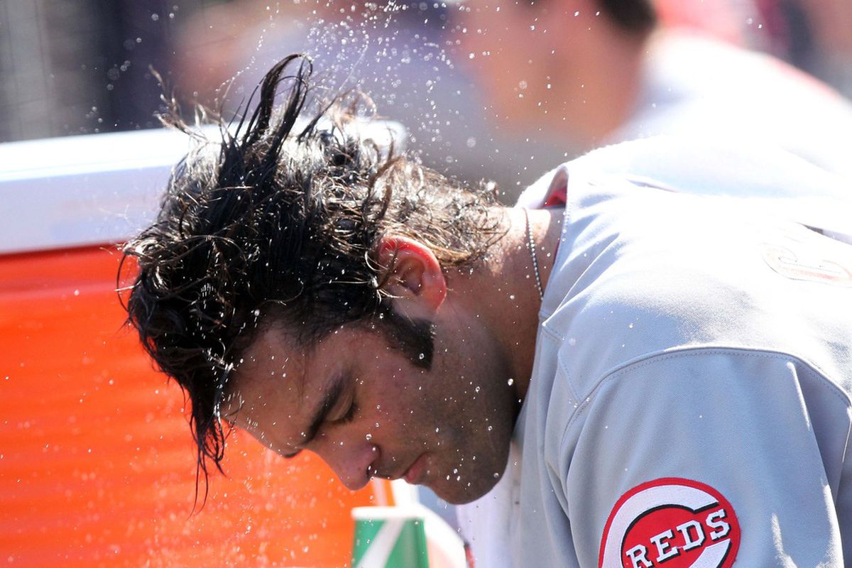 May 19, 2012; Bronx, NY, USA; Cincinnati Reds designated hitter Mike Costanzo shakes water out of his hair in the dugout during the eighth inning of a game against the New York Yankees at Yankee Stadium. Mandatory Credit: Brad Penner-US PRESSWIRE