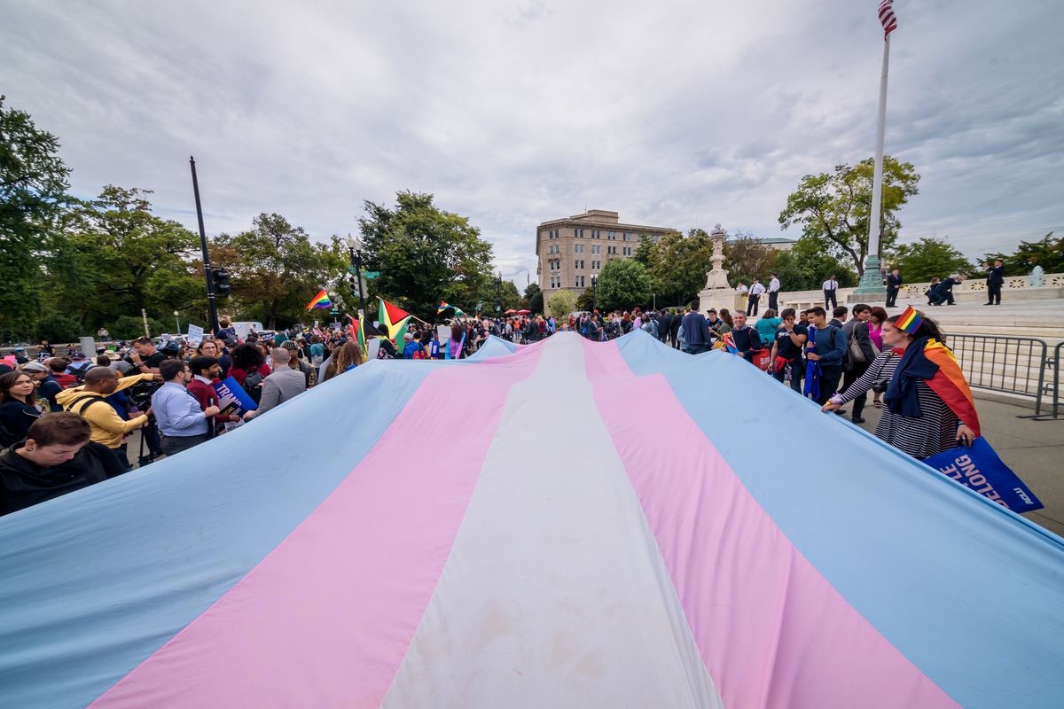 Demonstrators unfurl a giant Transgender Pride Flag, with pink, blue, and white stripes.