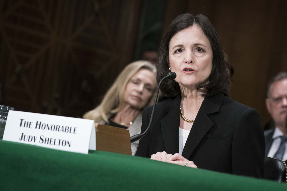 Who is Judy Shelton? Trump's controversial Fed nominee, explained. - Vox