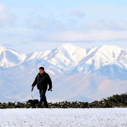 John Kahng of Salt Lake City walks his dog, Jaedong, at 11th Avenue Park with fresh snow on the Ocquirrh Mountains on Saturday morning, Feb. 21, 2015.  Ski resorts in Big and Little Cottonwood canyons are reporting 6 to 11-inches of fresh snow in the past 24 hours.