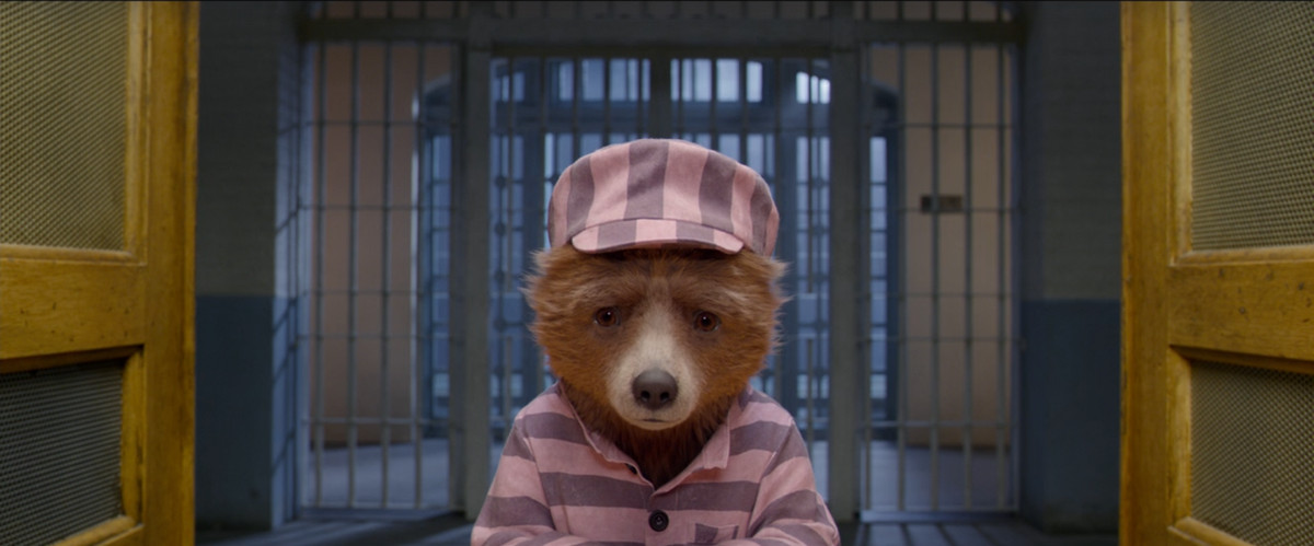 Sad Paddington in jail
